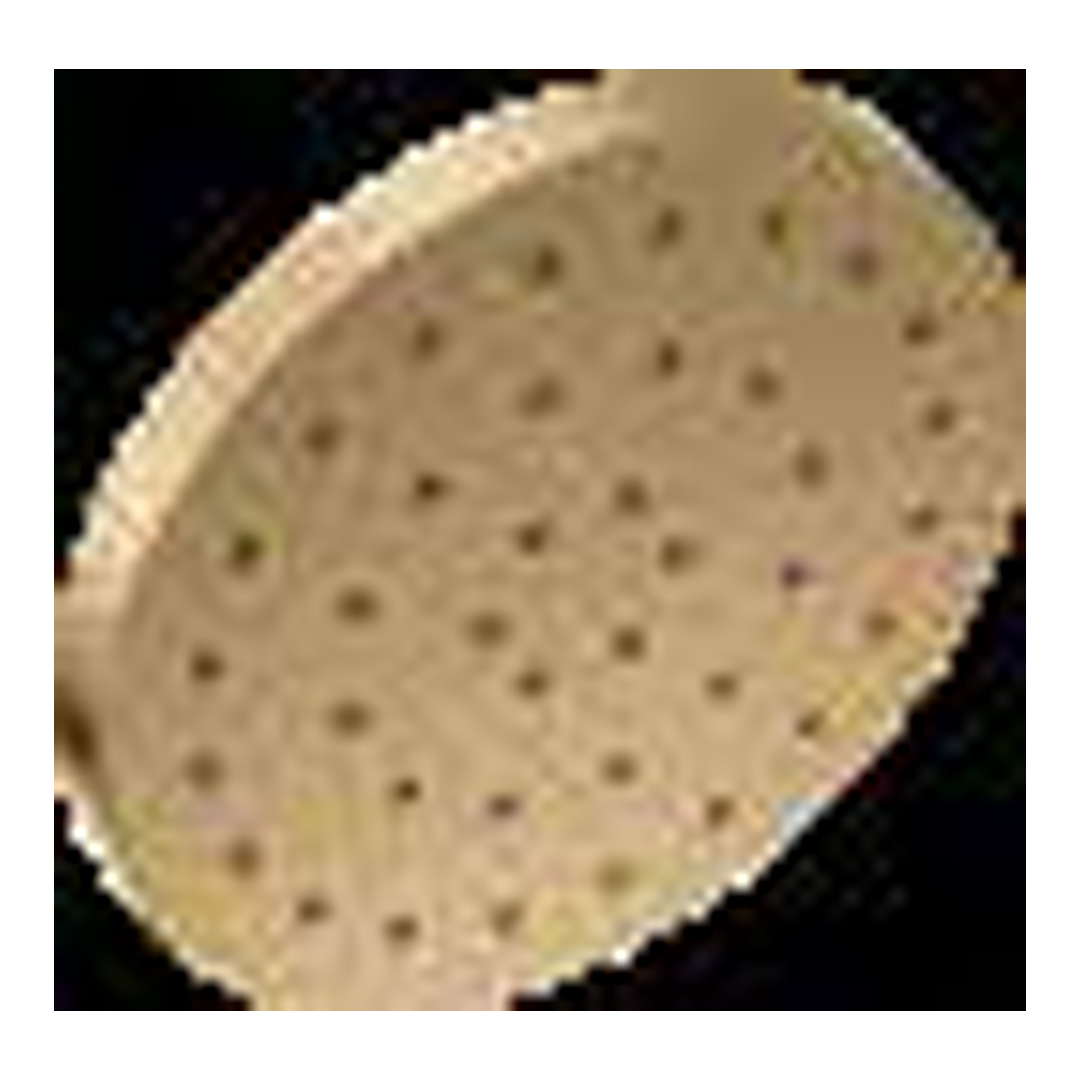 UltraSoak 12" Showerhead 52160-CZ-PR25